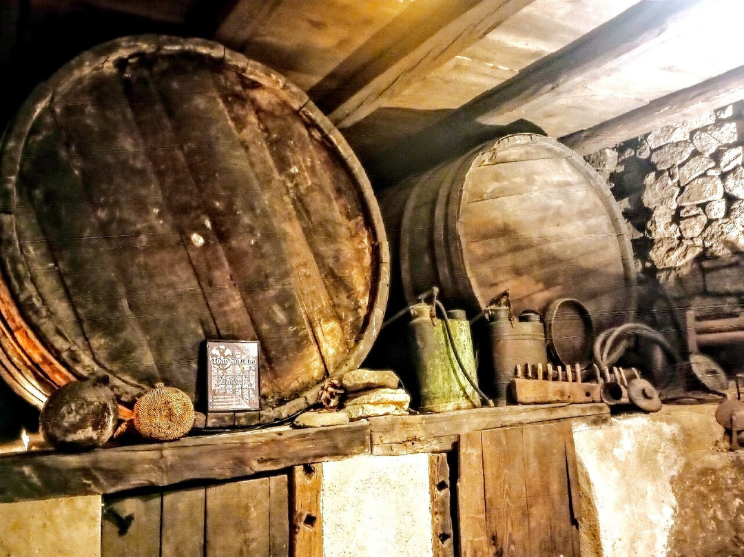 Bodega la MUralla景点图片