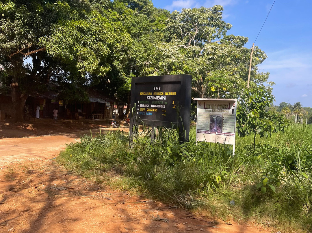 Antique Tours and Safaris-孥归必去景点