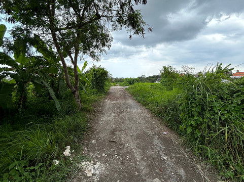 Gede Private Bali Driver-沙努尔必去景点