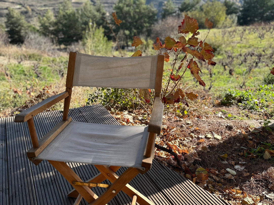 Ayia Mavri Winery景点图片