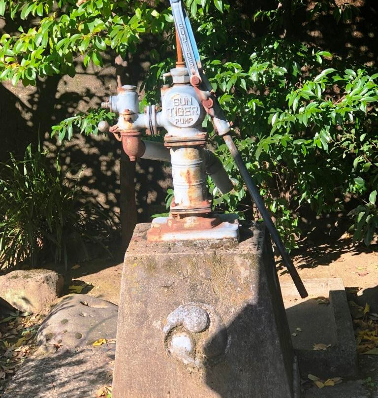 Hisakuni Shrine-Roppongi必去景点