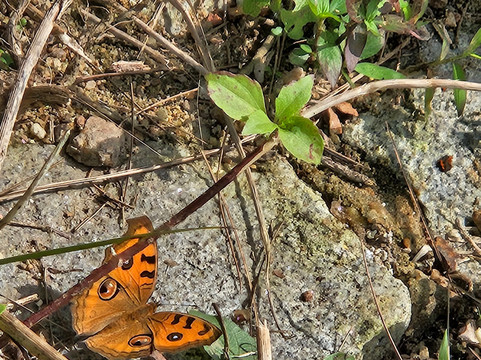 Hue Coolmate Tour-顺化必去景点