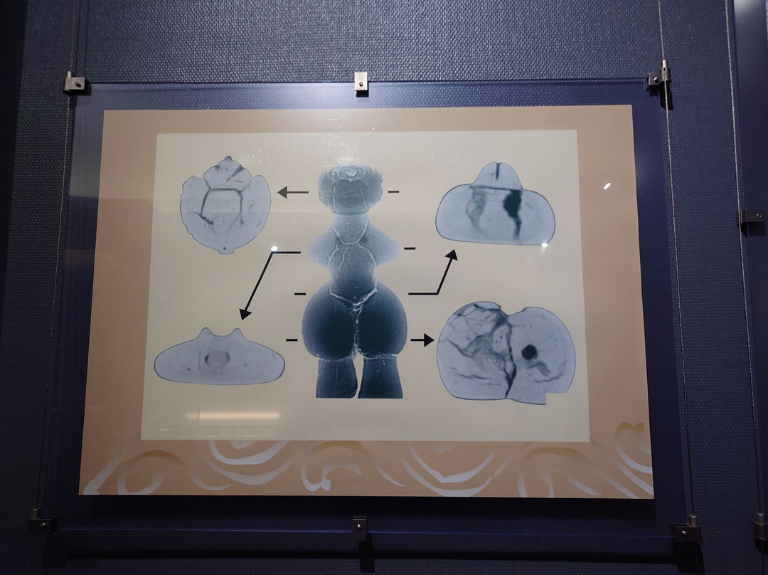 Togariishi Jomon Archaeological Museum景点图片
