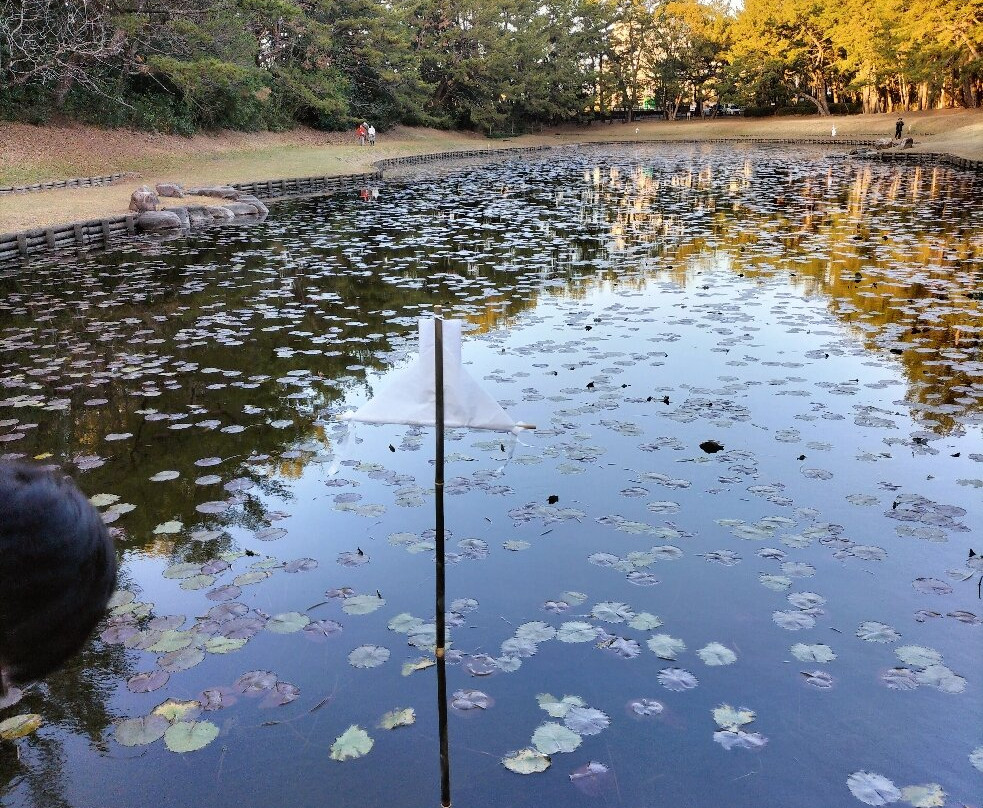 Misogi Pond-宫崎市必去景点