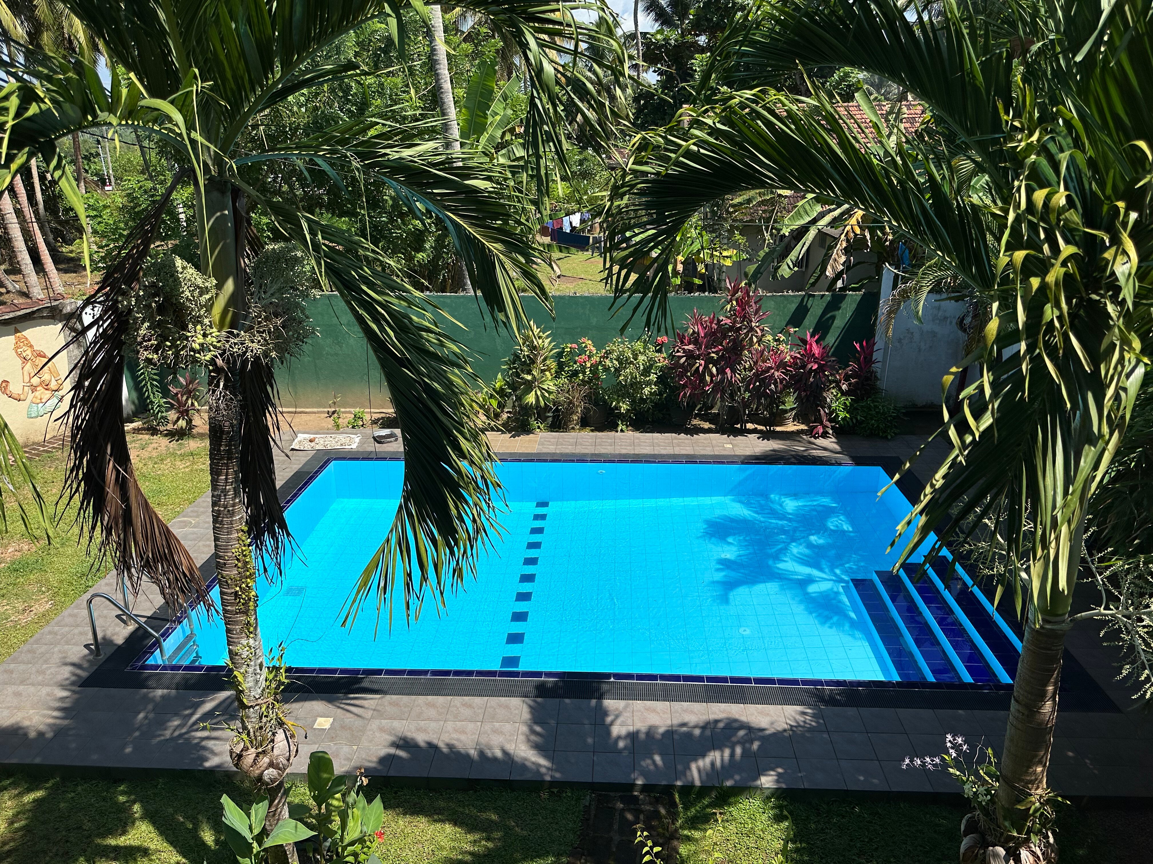 Sankarest Villa-泳池