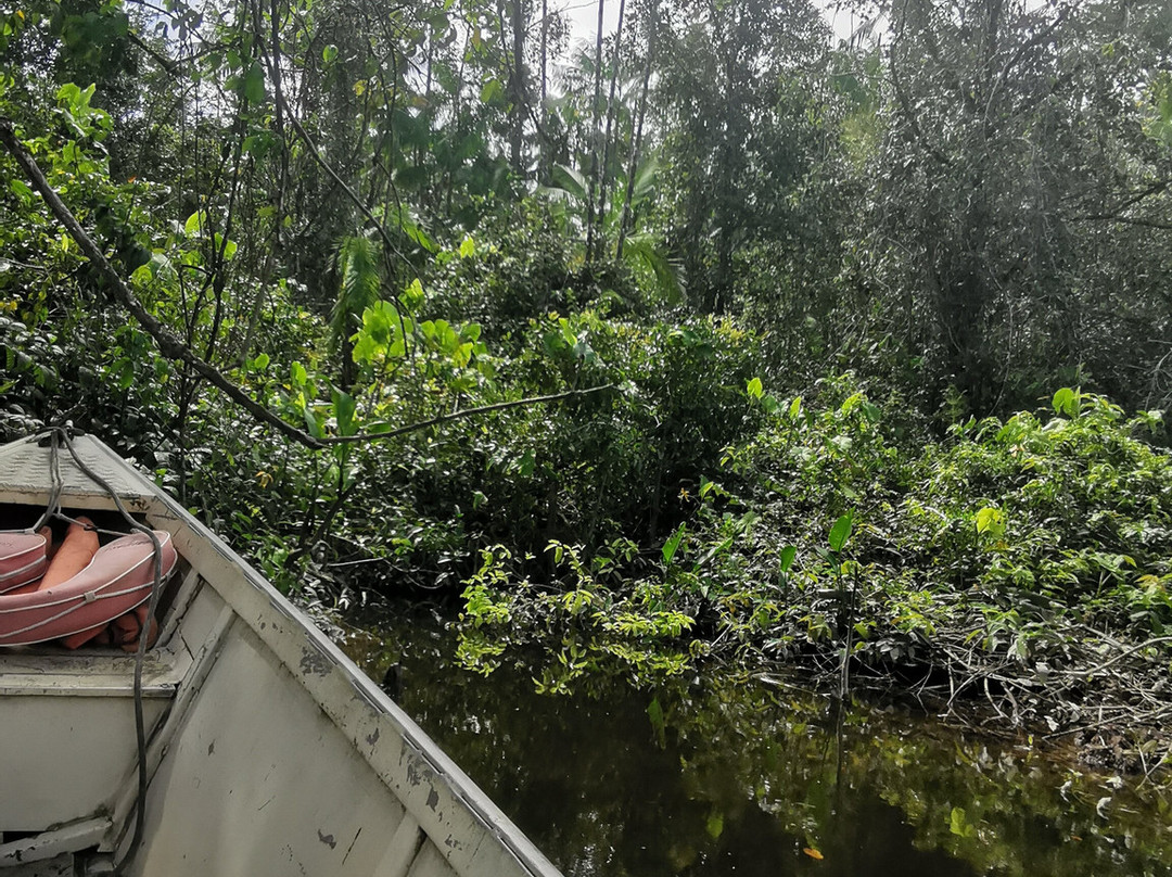 Atmosphere d'Amazonie Day Tours-Sinnamary必去景点