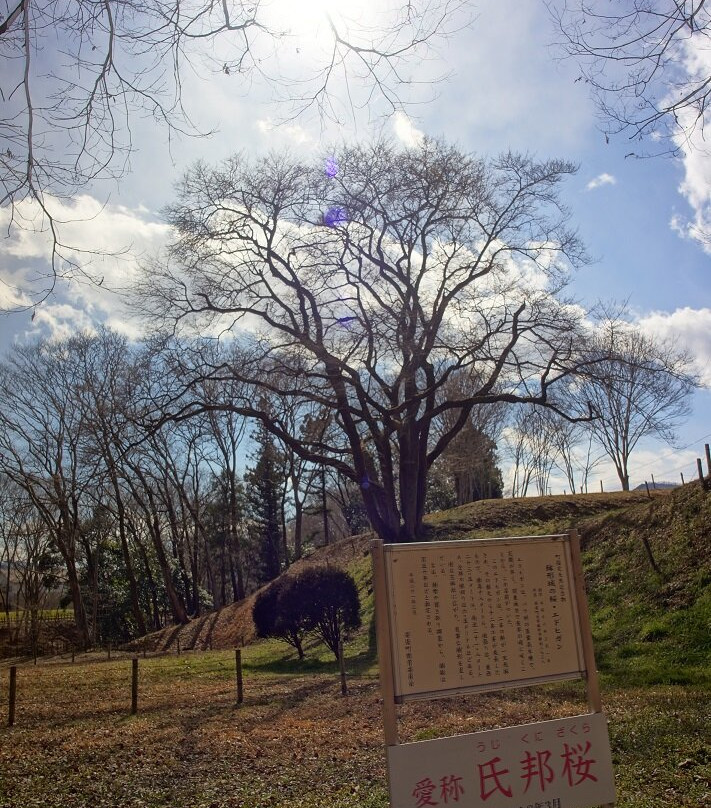 Hachigata Castle Remains-寄居町必去景点