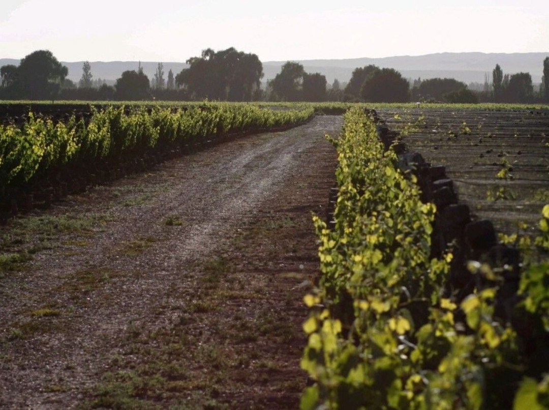Lamadrid Estate Wines景点图片
