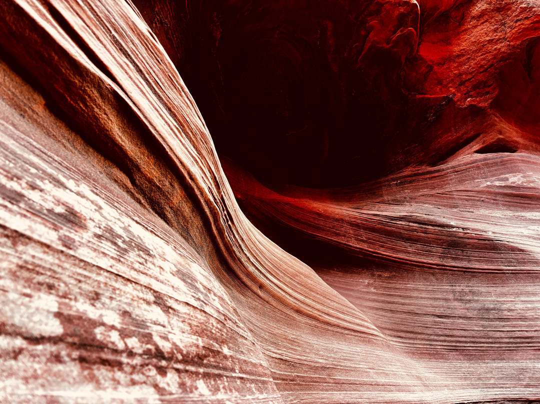 Black Streak Canyon Tours