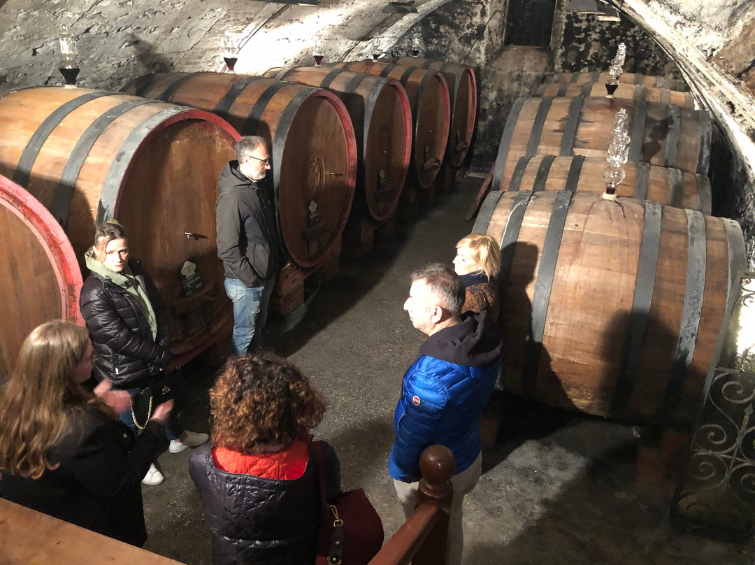 Azienda Vinicola Farina景点图片