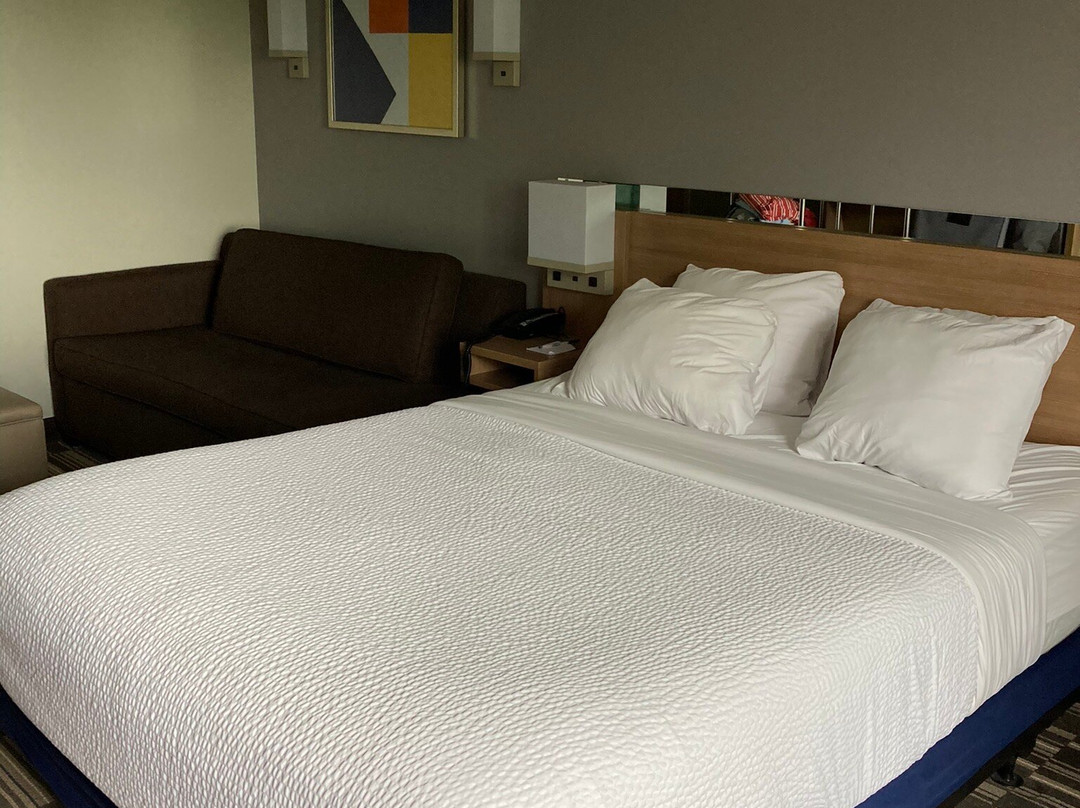 Microtel Inn & Suites by Wyndham Farmington主图