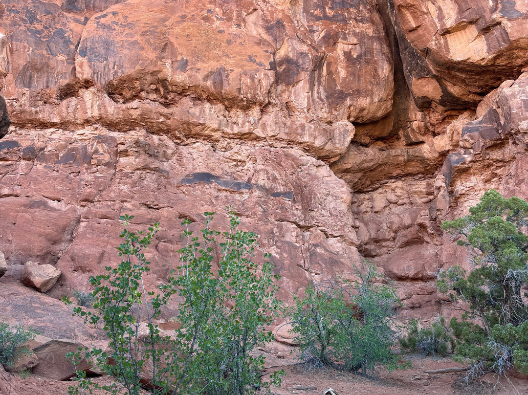 Fiery Furnace-拱门国家公园必去景点