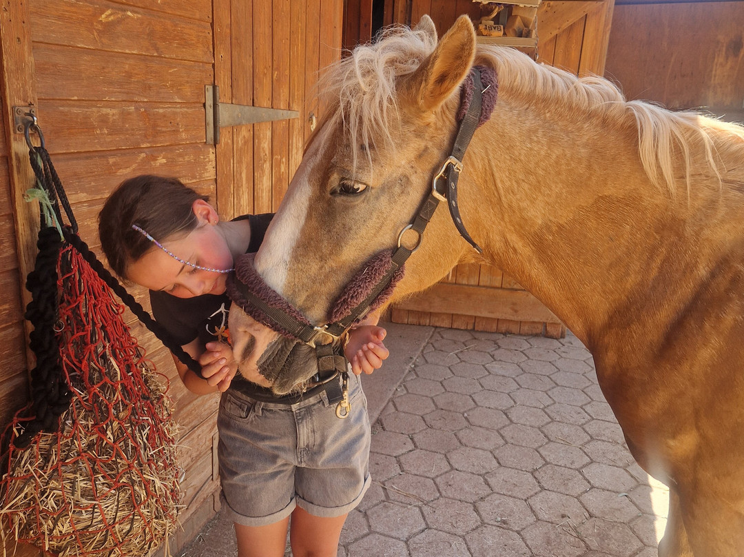 Country Riding Centre-Silves必去景点