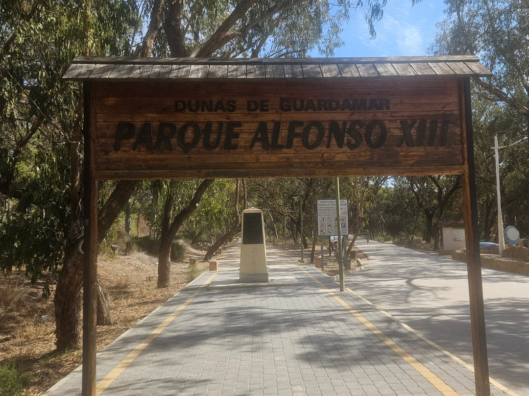 Parque Alfonso XIII景点图片