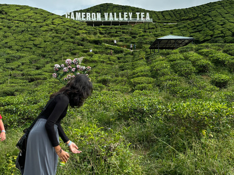 Saiful KL Taxi Tour-吉隆坡必去景点