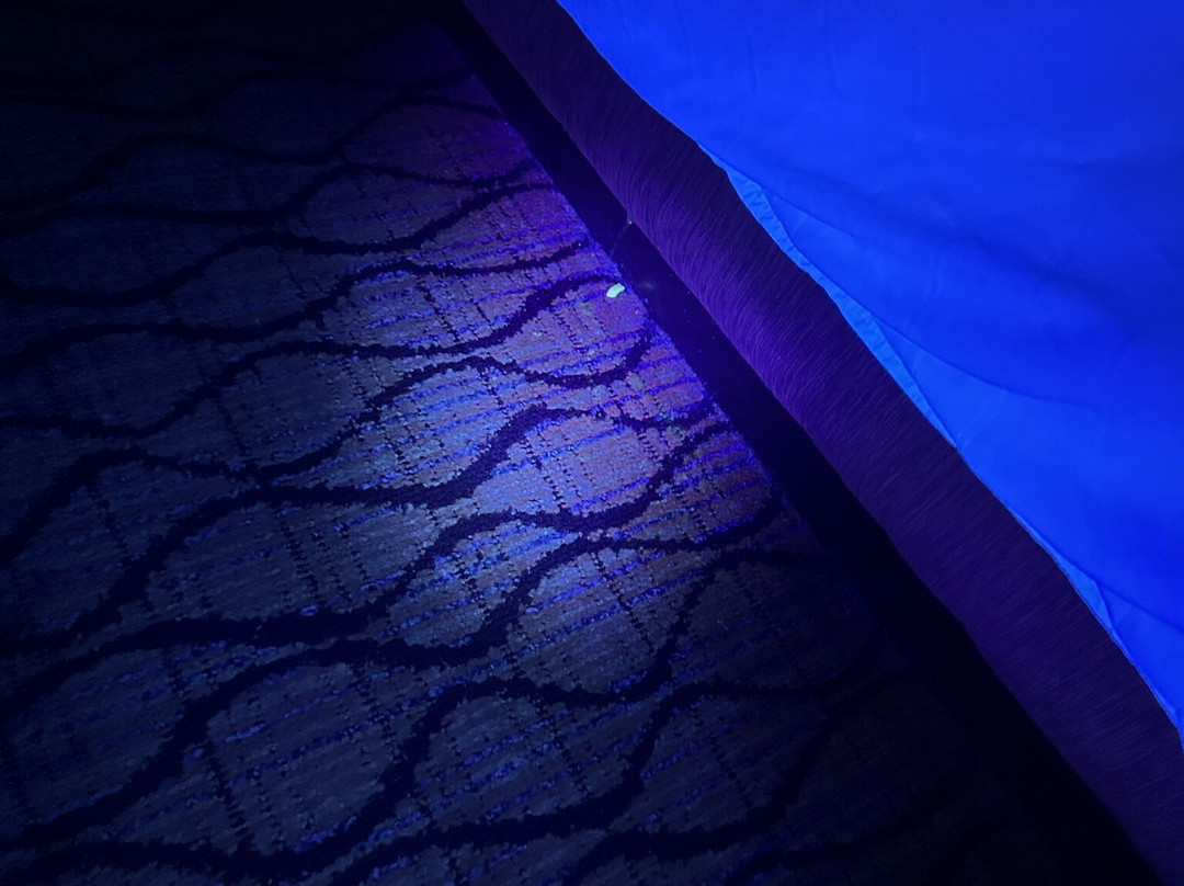 克里斯钦堡快捷假日&套房酒店主图