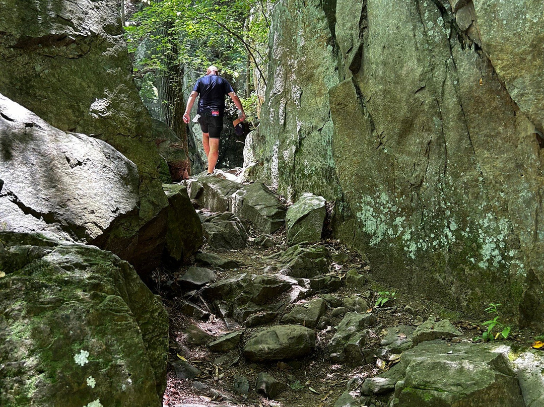 Glen Falls Trail-查塔努加必去景点