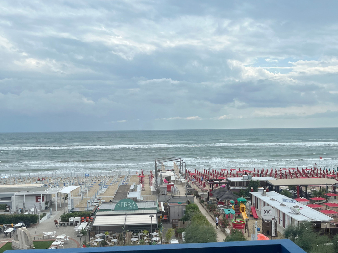 Hotel Napoleon主图