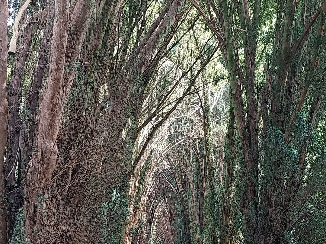 Tregrehan Garden-Par必去景点