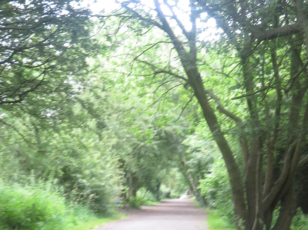 Guisborough Forest & Walkway Visitor Centre-Guisborough必去景点