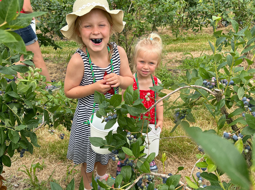 Bastiani's Blueberry Farm-Hebron必去景点