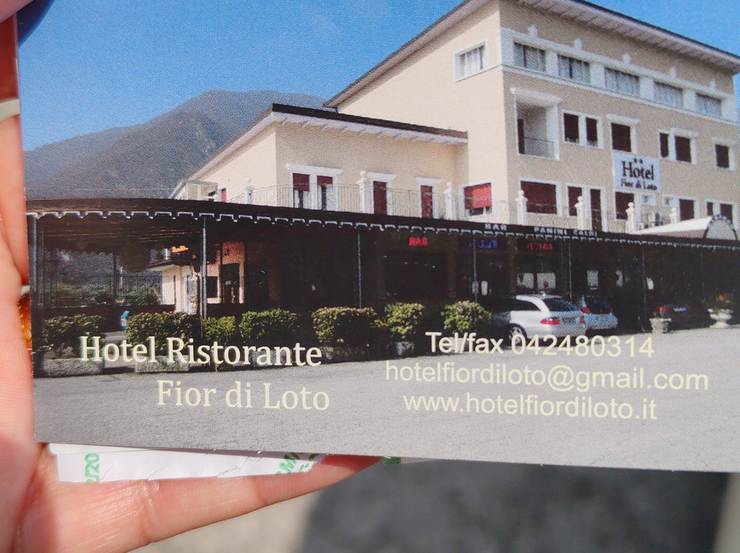 Albergo Fior di Loto主图