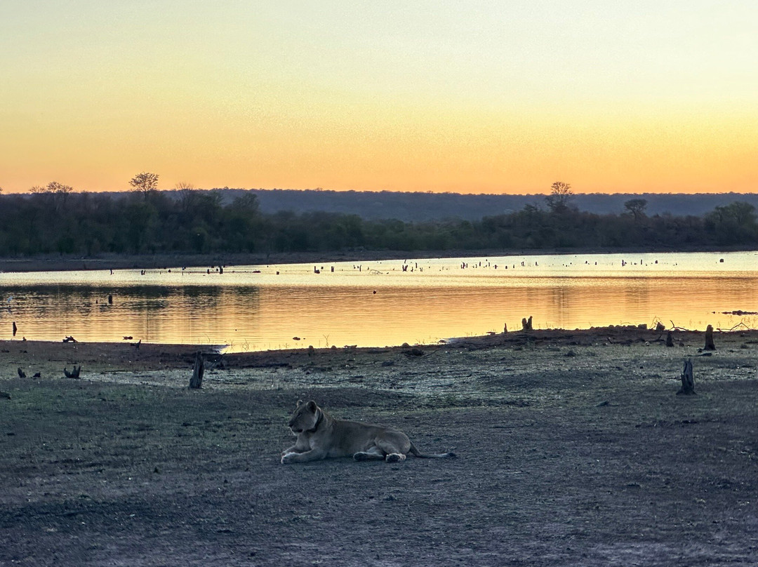 Victoria Falls Private Game Reserve景点图片