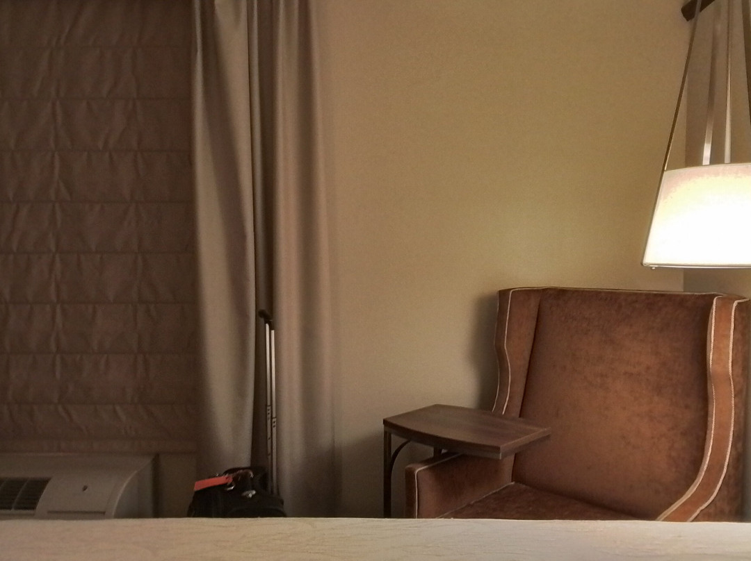 奥斯丁/朗德罗克希尔顿花园酒店主图