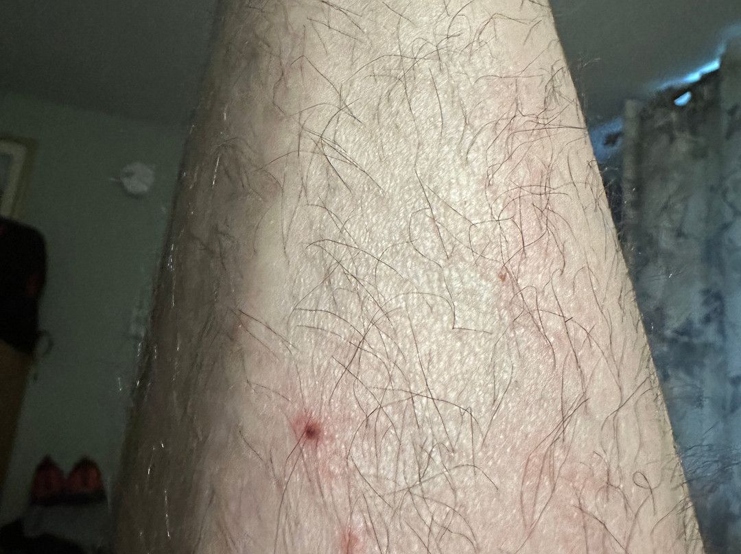 曼彻斯特机场速8酒店主图