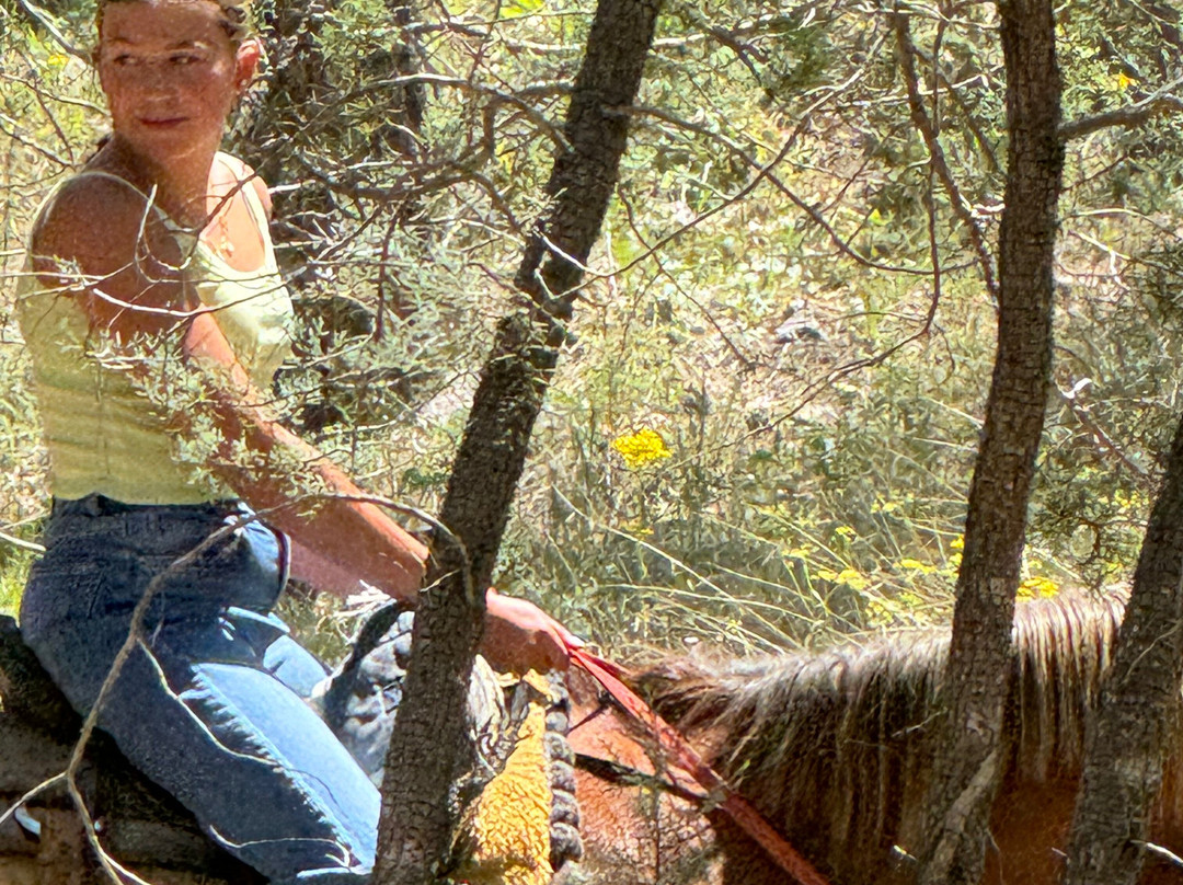 Kohl's Ranch Stables-Payson必去景点
