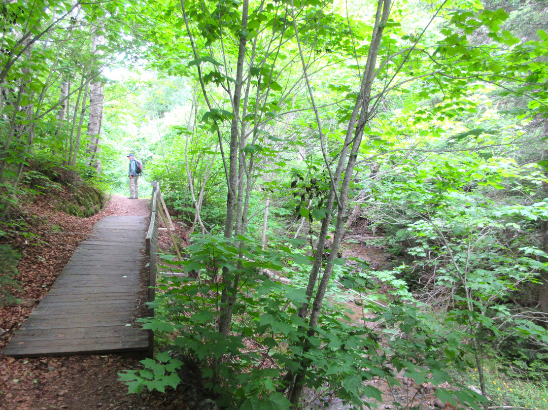 Sentier Du Parc De Nos Ancêtres景点图片