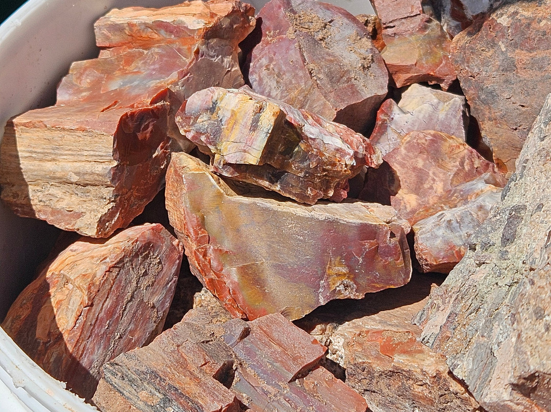 DoBell Ranch-霍尔布鲁克必去景点