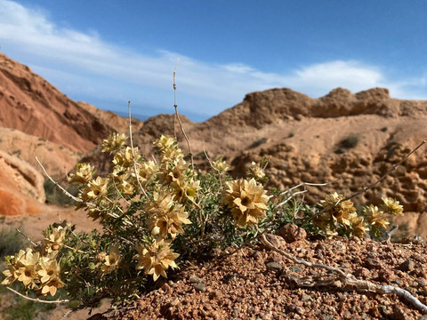 Bike and Hike KG-比斯凯克必去景点