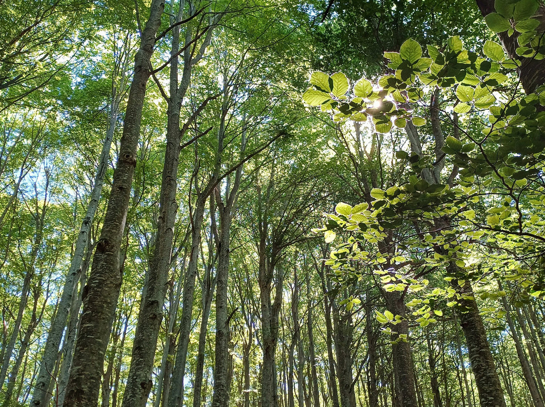 Riserva Naturale Lama Bianca-Roccacaramanico必去景点