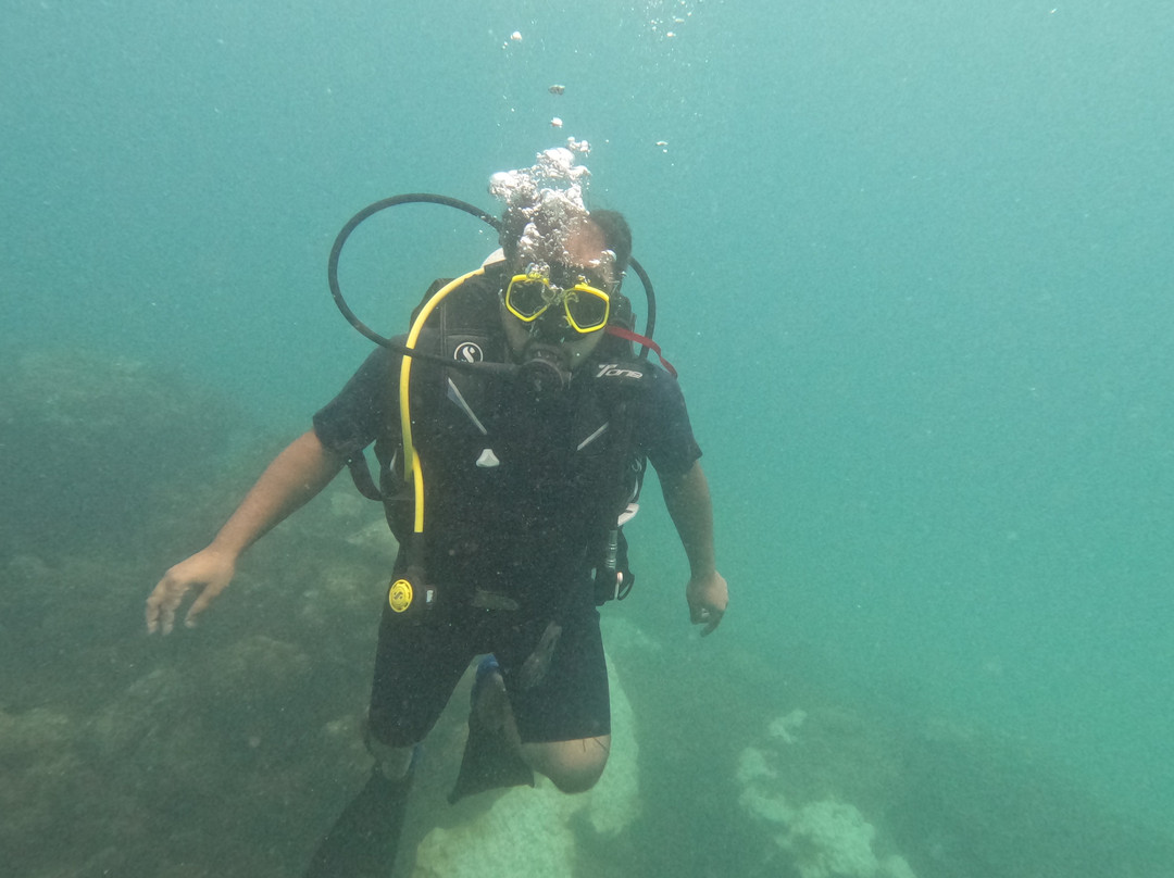 Turquoise Dream | PADI Dive Centre景点图片