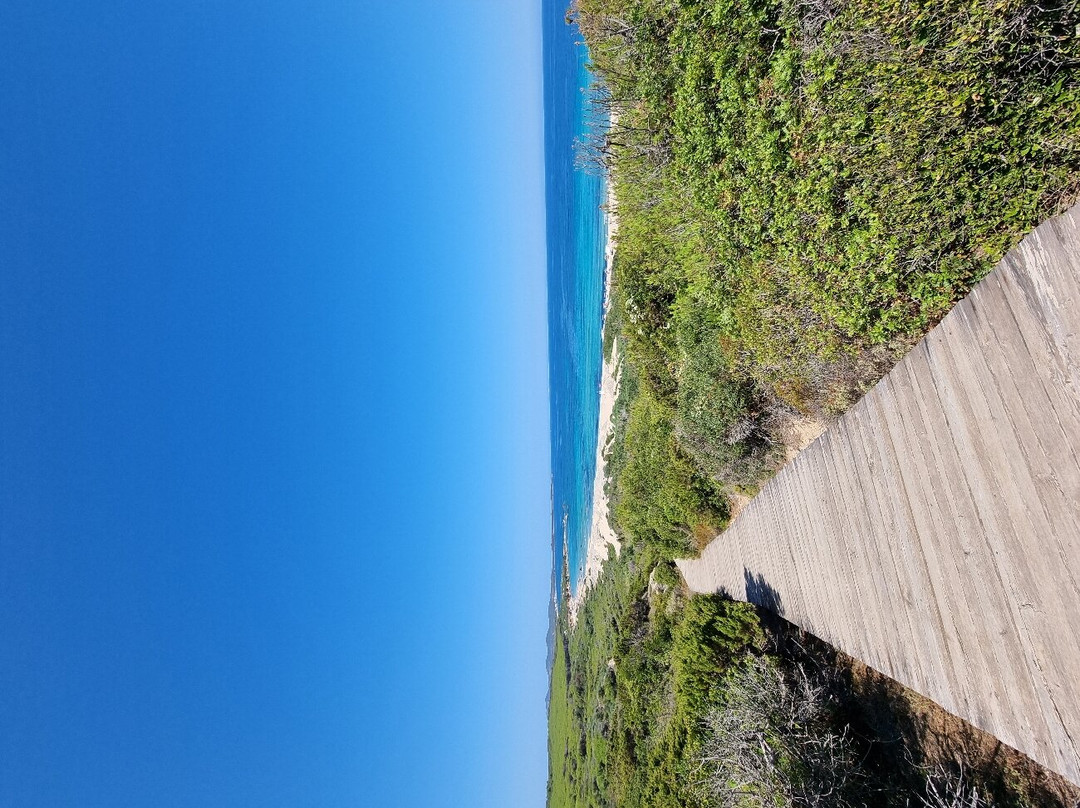 Lido Dog Beach-Aglientu必去景点