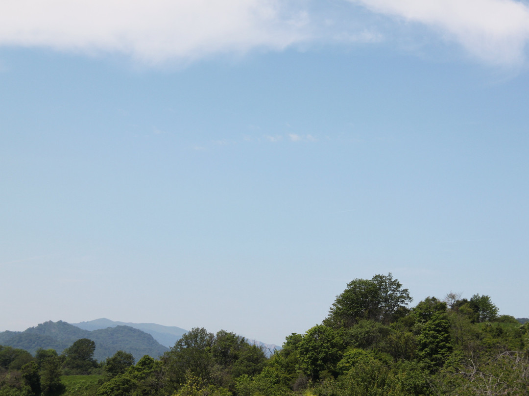 Gombori Pass-Telavi必去景点
