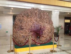 世纪王朝酒店主图