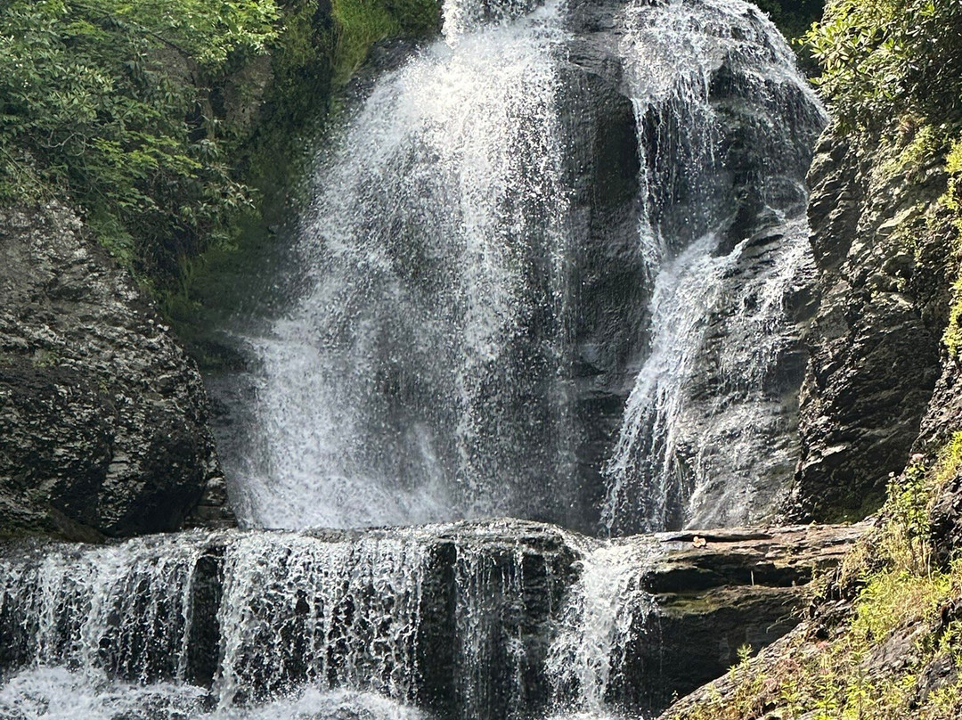 Dingmans Falls景点图片