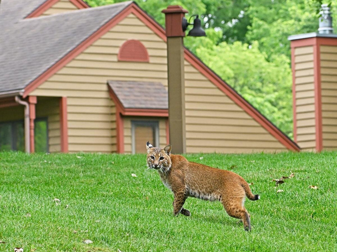 Eagle Ridge Resort & Spa主图