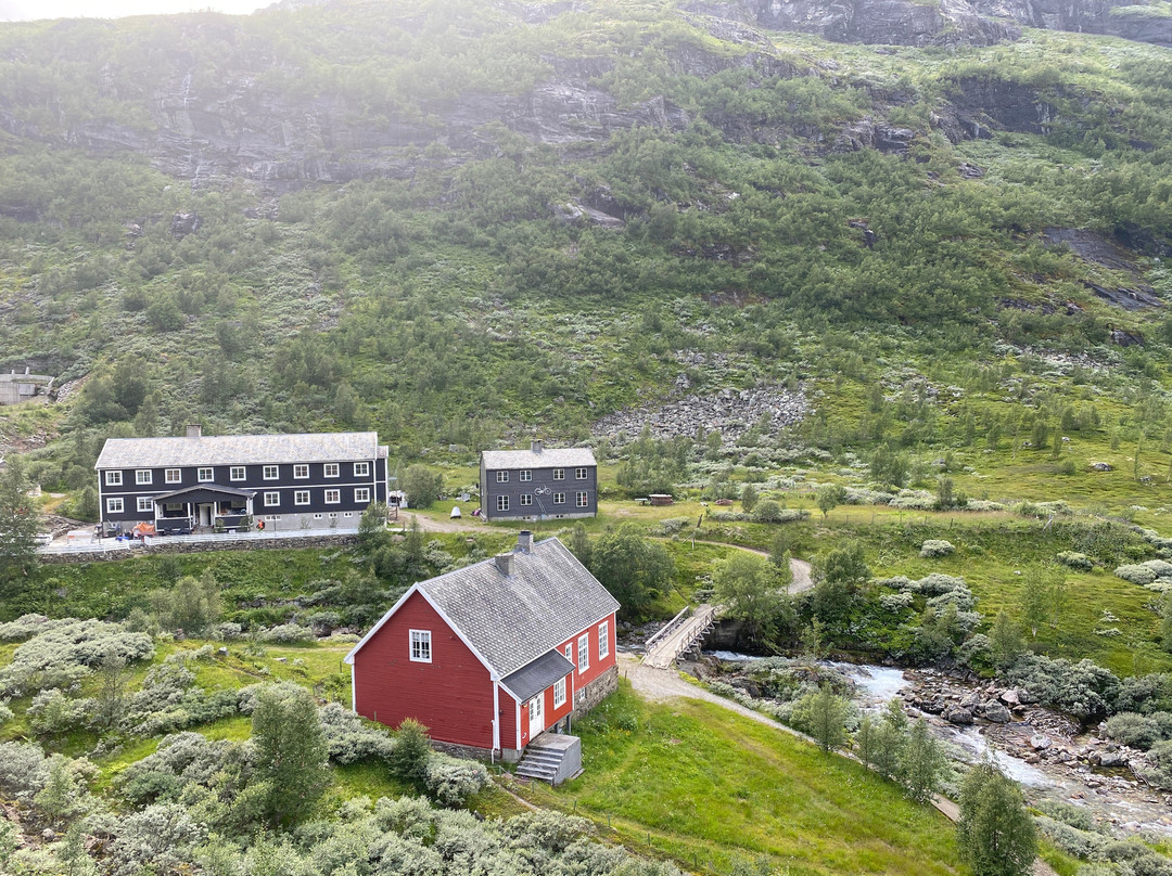 Myrdal Station-米达尔必去景点