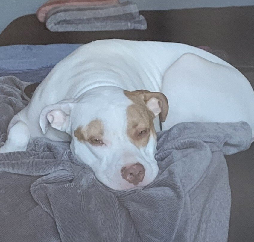 Terrace Park Inn主图