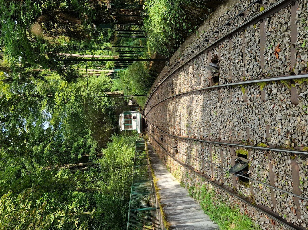 依云登山缆车景点图片