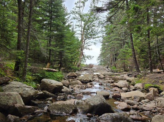 Good Trip Adventures Acadia-巴港必去景点