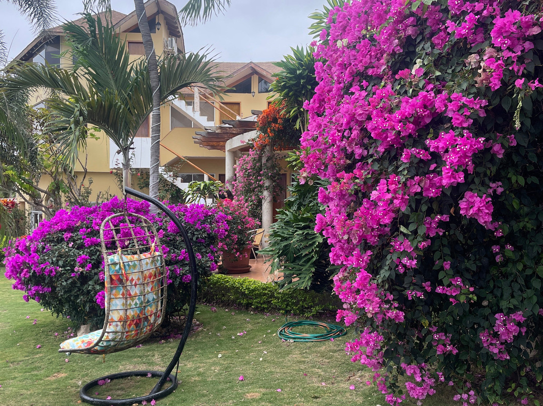 Playa Canela Hotel Boutique主图