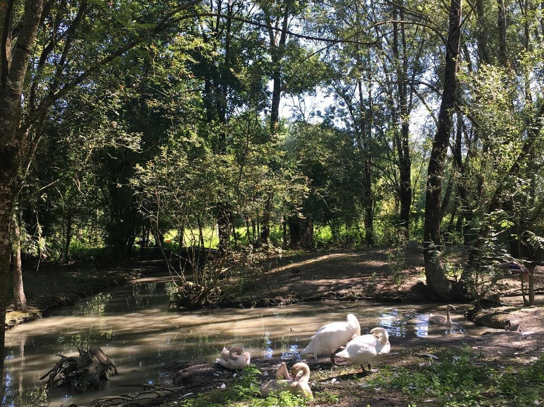 Les Oiseaux du Marais Poitevin景点图片