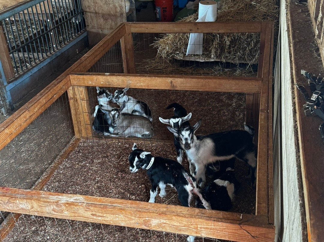 Sweetland Farm Hawaii-瓦亚禄必去景点