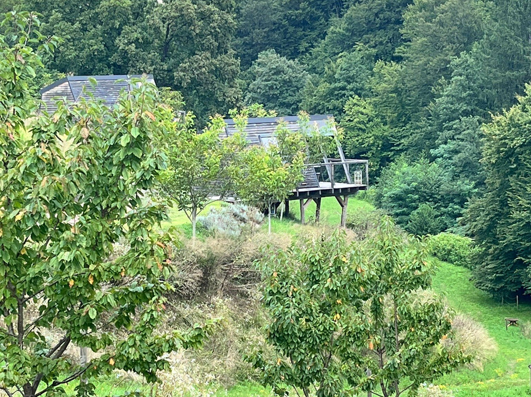 Nesting Resort 波塞斯托夫松奇拉伊