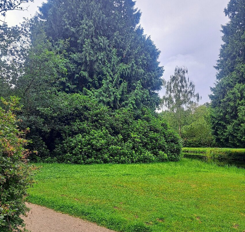 Schlosspark Lütetsburg-Luetetsburg必去景点