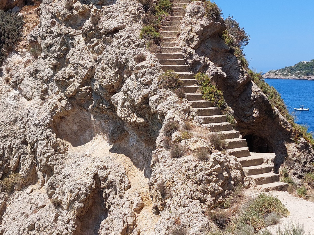 Book Excursions Sicily & Ape Tours景点图片